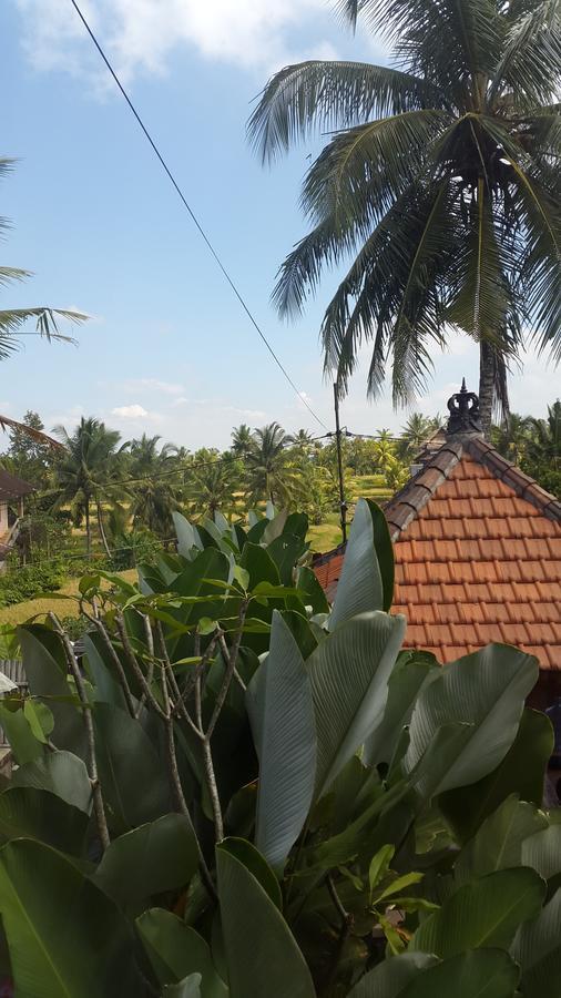 Villa Bungsil Gading อูบุด ภายนอก รูปภาพ